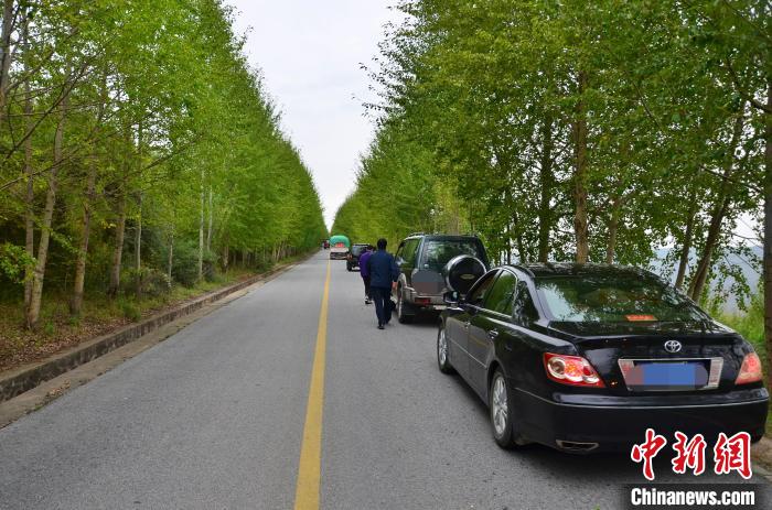 图为平安区的“网红公路”下红公路。　鲁丹阳 摄